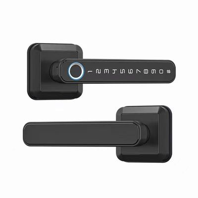 Wi-Fi 接続 Bluetooth 入口ロック ハンドル モダン シンプル スタイル ドアロック