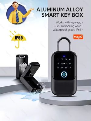 ホーム ホテル オフィス WiFi 接続 スマートロック ツヤ ネットワーク 電子 パスワード ボックス メタルゲート ガラス IP65 防水