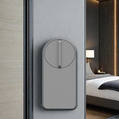 ミニキャビネット スマート エントリー ロック Tuya Ttlock アプリ グレー カラー 1 年間のバッテリー寿命