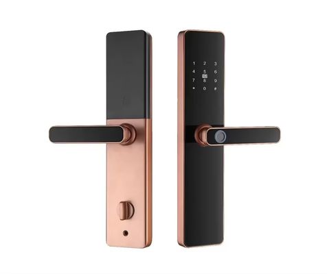 Tuya 電子スマート ドアロック 青歯ネットワーク クラウド データ ストレージ オプション