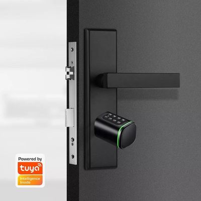 PL-CS1K Tuya スマートドアロック パスワードとC型電源で簡単に設置