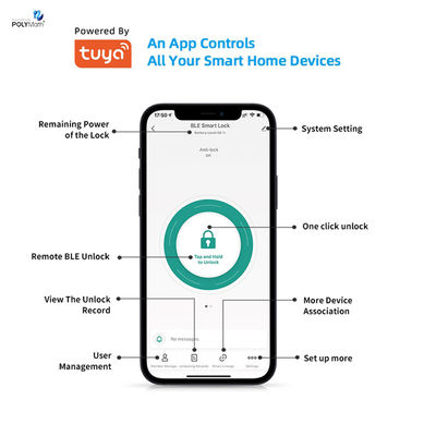 Bluetooth ネットワーク ファッショナブル TUYA スマート フリジャー 寝室のドア用のプリントシリンダーロック