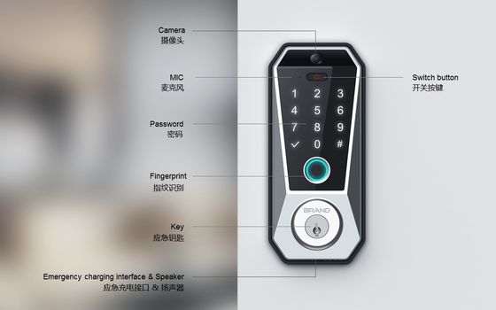Tuya WIFI デジタル スマート ドアロック メモリーカード データ ストレージ 指紋 アクセス
