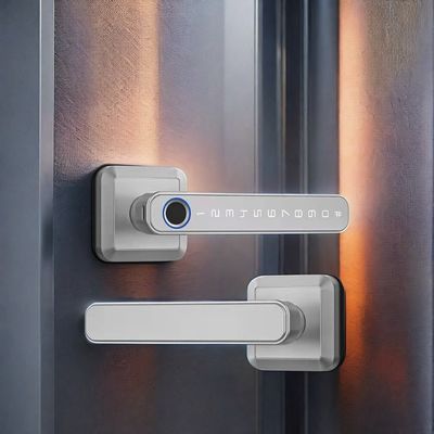 亜鉛合金素材 ワイファイ対応 指紋ドアロック 防水 IP66 木製ドア
