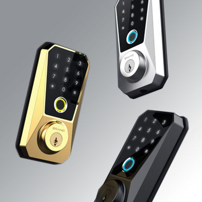カスタマイズ可能な亜鉛合金 スマートロック