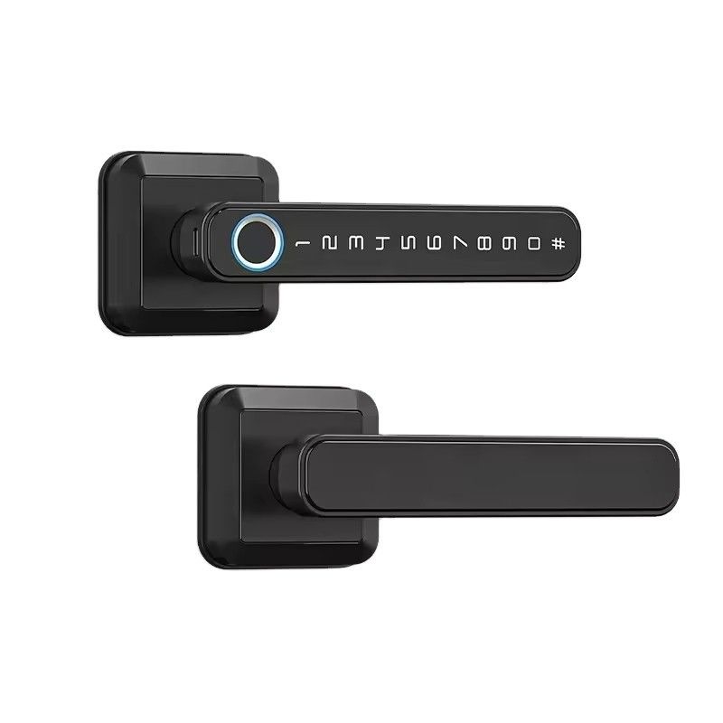 メモリーカード データ格納 木製ドア用 スマートロック IP66 防水 指紋Wifi